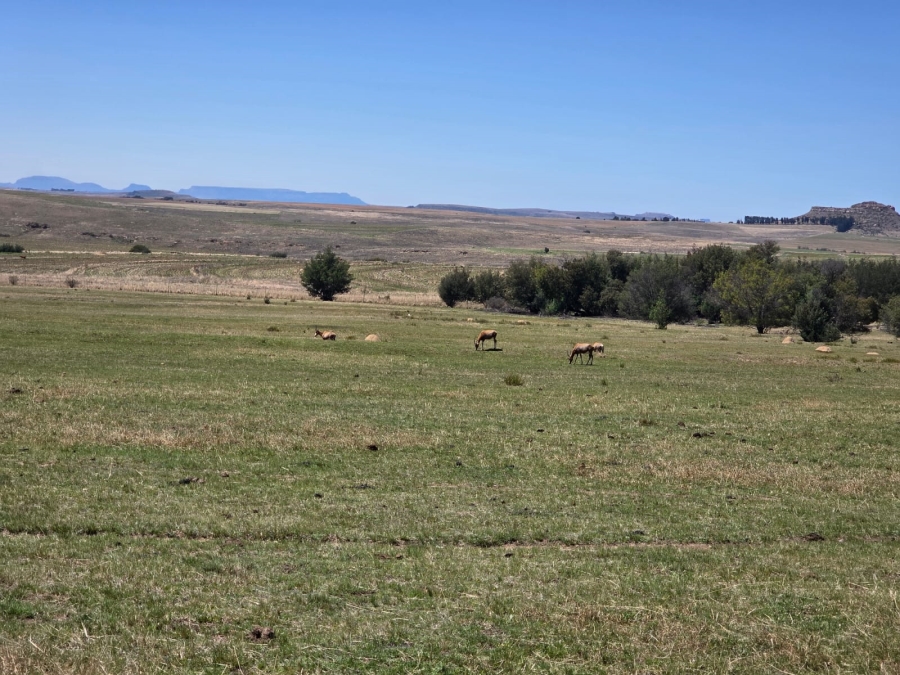 8 Bedroom Property for Sale in Bethlehem Rural Free State